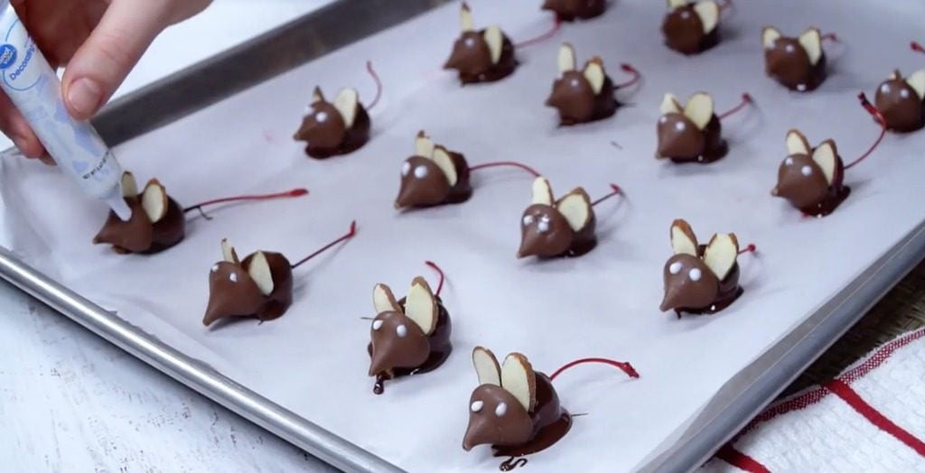 Looking for the perfect Valentine's Day treats to take to that class party? These chocolate covered cherry mice are the perfect fun and delicious treat!