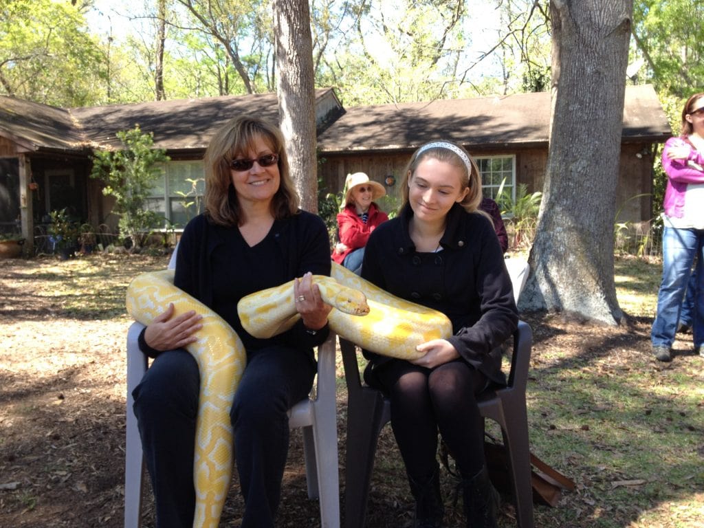 Buttercup at the St. Augustine Wildlife Reserve