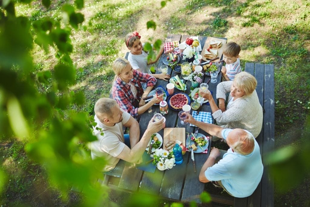 picnic party