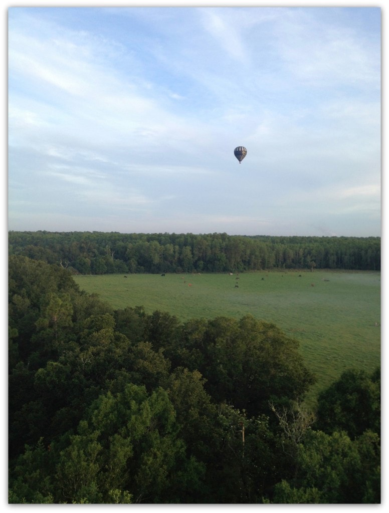 Is a hot air balloon ride on your bucket list? It should be!