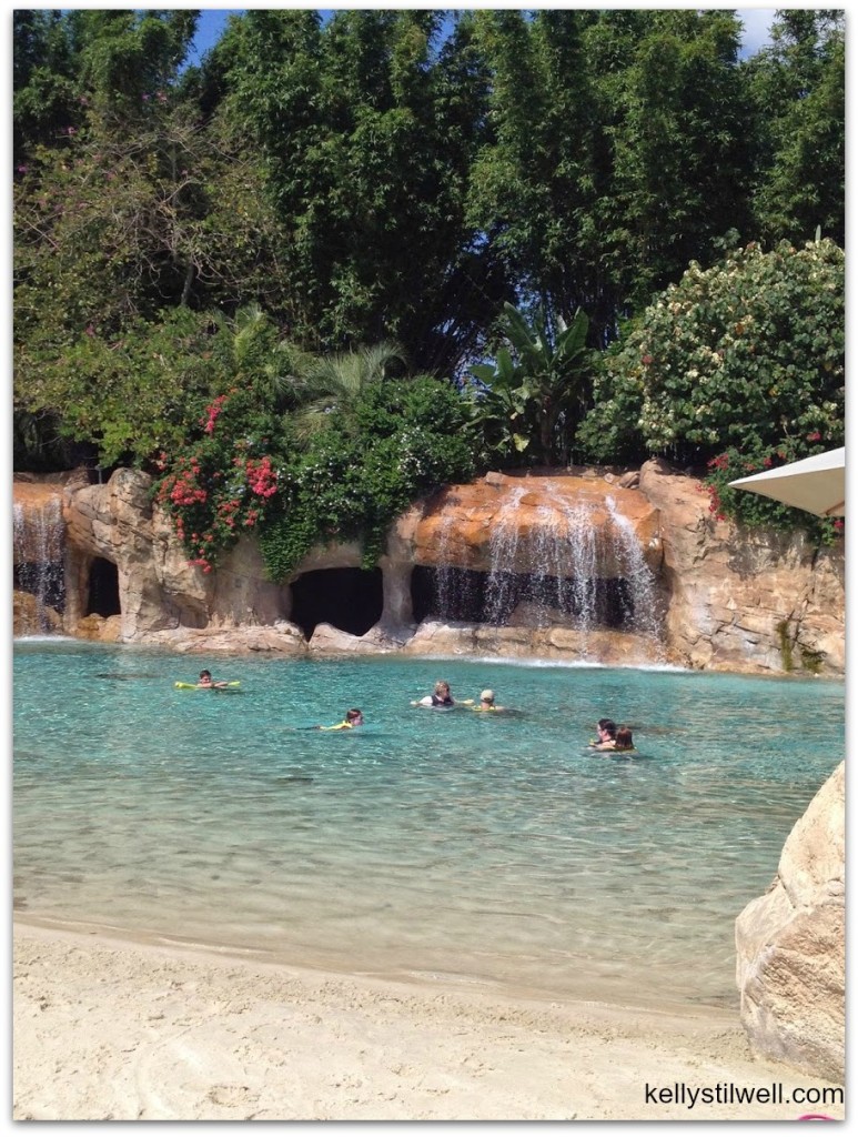 discovery cove 