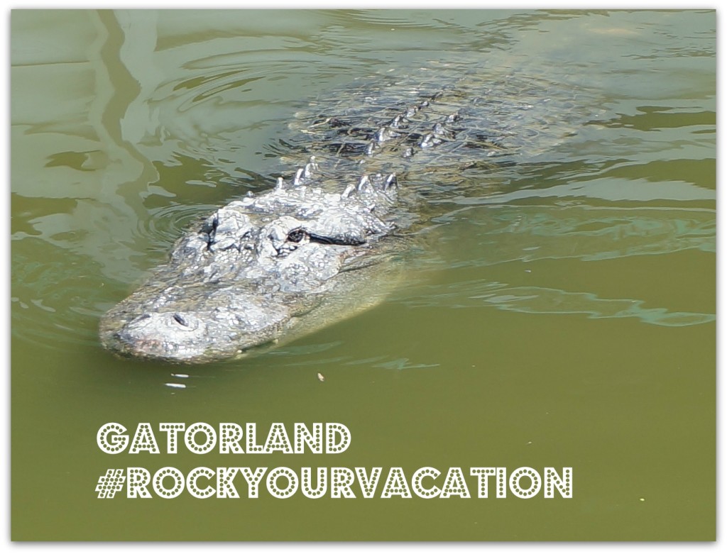 Gatorland