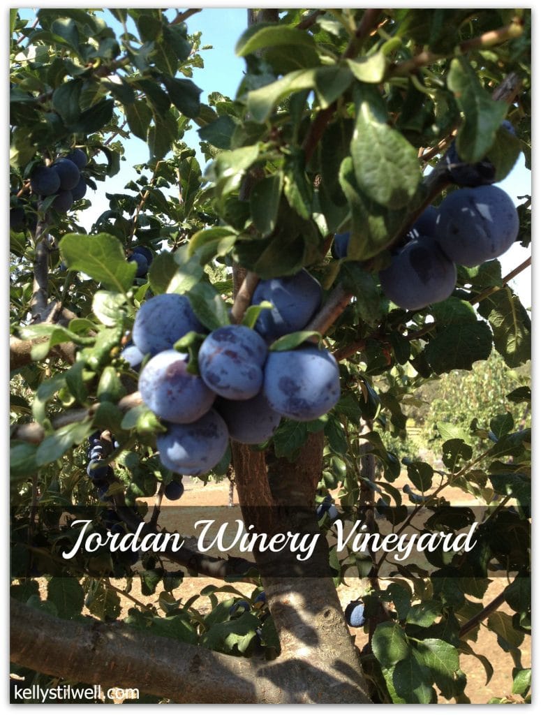 jordan winery