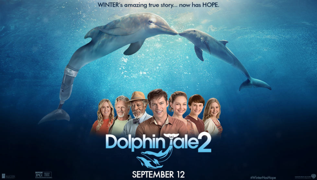 Dolphin Tale 2