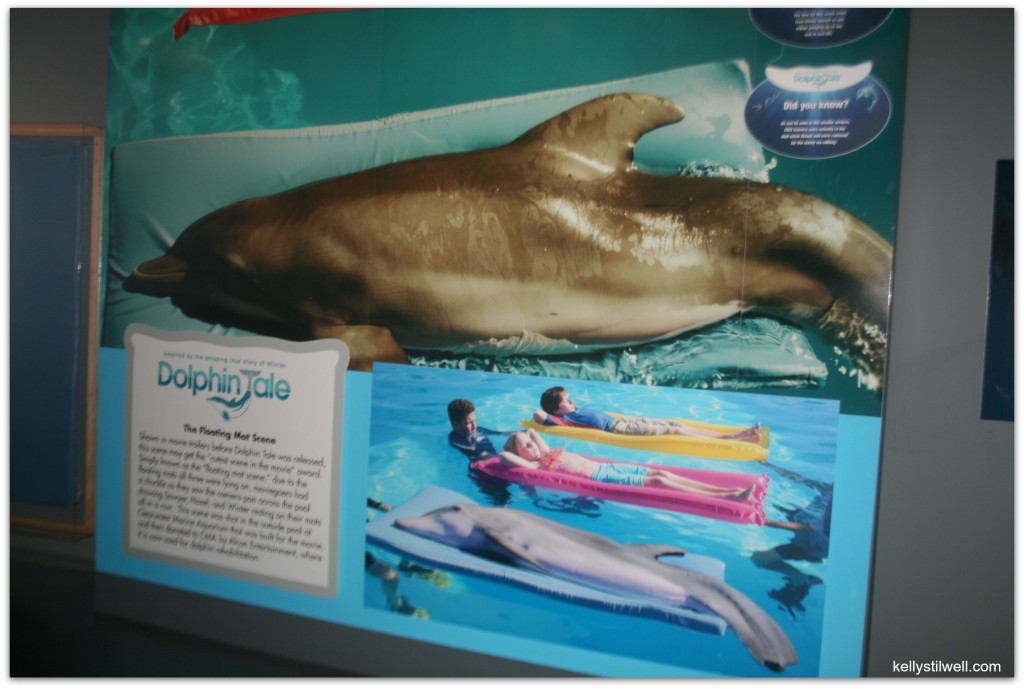 Clearwater Marine Aquarium