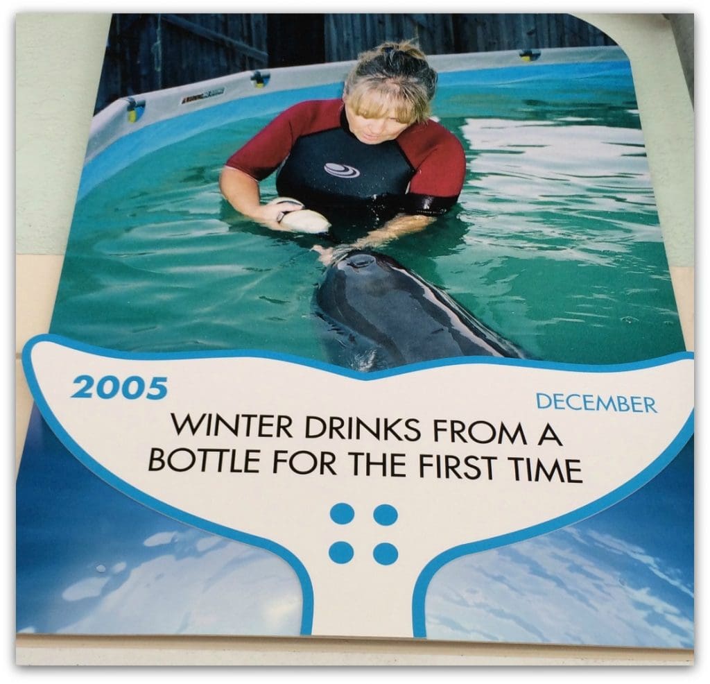 Clearwater Marine Aquarium