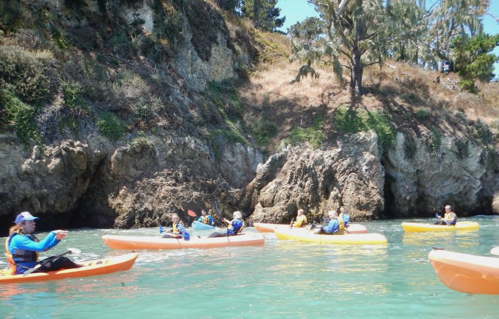 Kayaking in San Simeon Cove is a great first introduction to the sport. This was an activity we had never done as a family before, so we were excited.