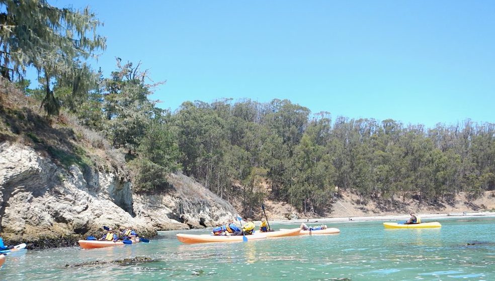Kayaking in San Simeon Cove is a great first introduction to the sport. This was an activity we had never done as a family before, so we were excited.