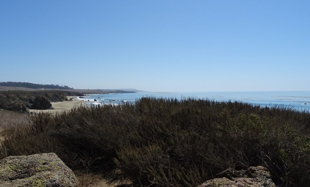 Kayaking in San Simeon Cove is a great first introduction to the sport. This was an activity we had never done as a family before, so we were excited.