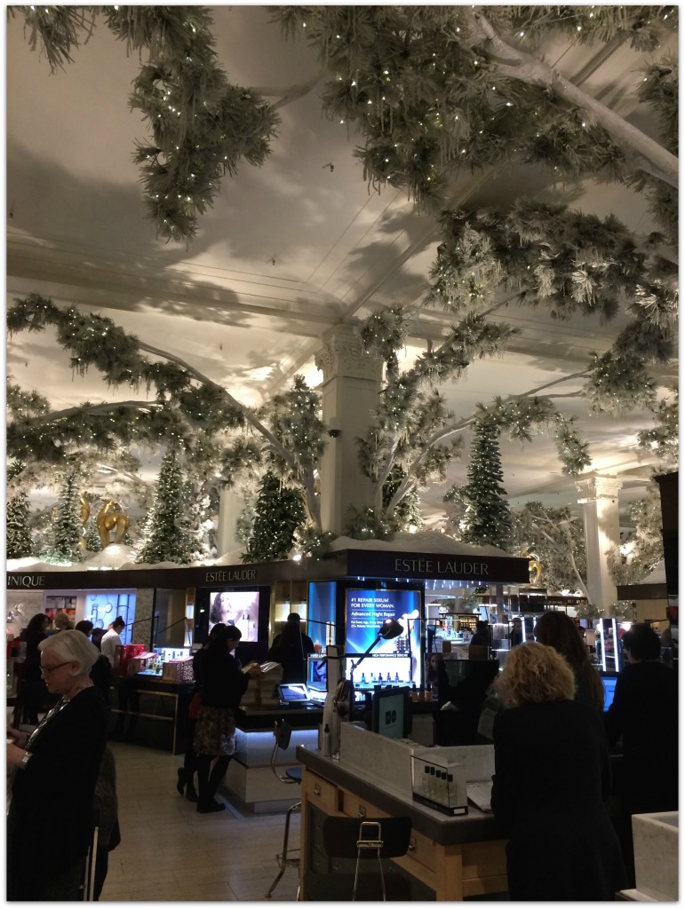 Check out my 5 Reasons to See Wicked on Broadway. It is about the music, the dresses, and simply being on Broadway, but it's also about being in New York City. There is just not a better venue to see a Broadway show. Why? Read on!
