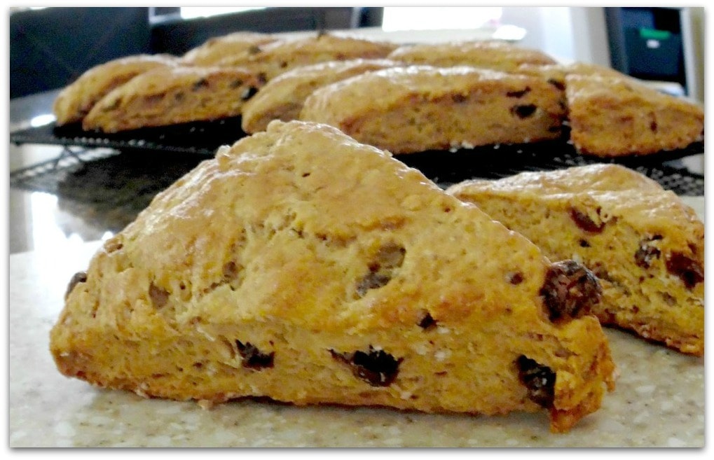 I could eat these Irish Soda Bread Scones every day for breakfast, and they are so wonderful with a cup of tea in the afternoon. People seem to think scones are difficult to make, but they really aren't! You'll love how easy this recipe is to make, and it will quickly become a family favorite.