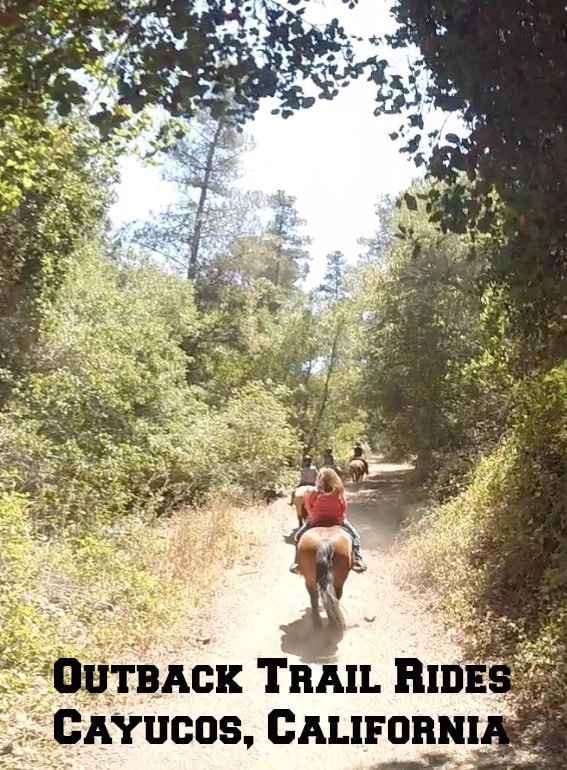 Riding horses in Cayucos California was so much fun. There is so much to do when vacationing in California!