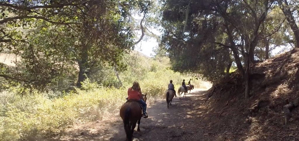 Riding horses in Cayucos California was so much fun. There is so much to do when vacationing in California!