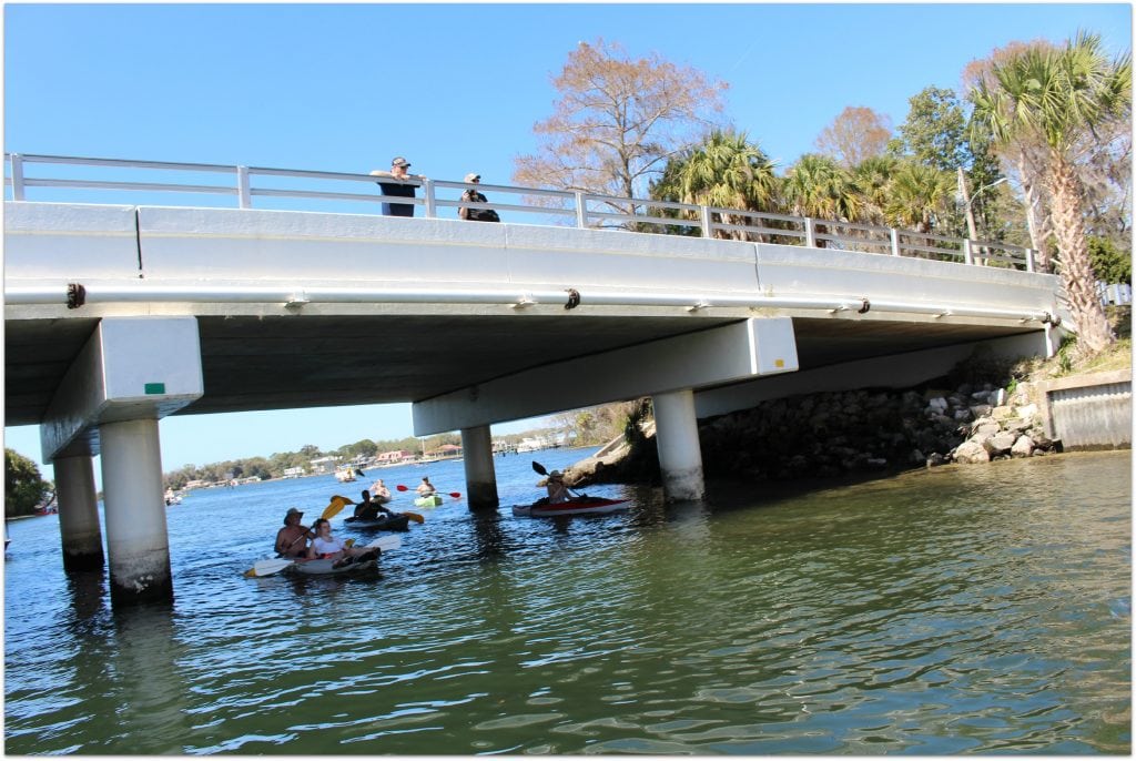 There are so many fun family activities you can do in Citrus County! Swimming with manatees was on our schedule on this day!