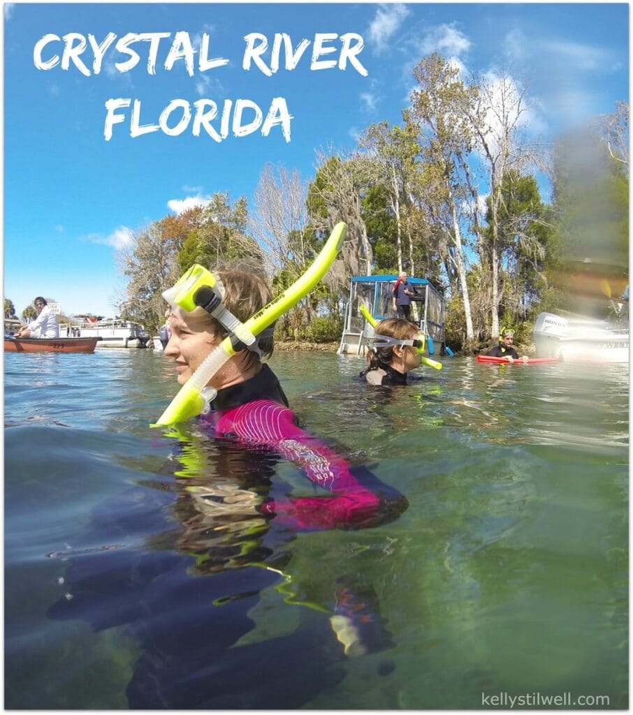 There are so many fun family activities you can do in Citrus County! Swimming with manatees was on our schedule on this day!