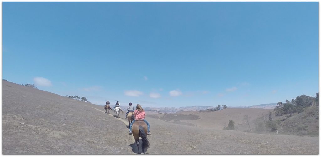 horseback riding cayucos