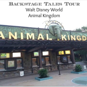 The backstage tales tour at Animal Kingdom is a must for animal lovers!