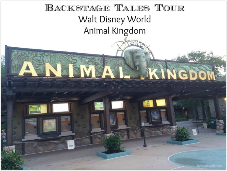 Backstage Tales Tour Experience at Animal Kingdom