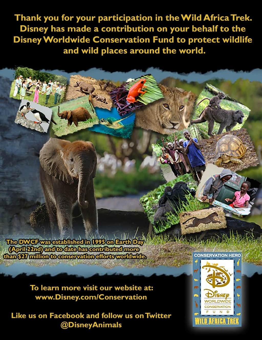 Disney's Animal Kingdom Wild Africa Trek is a VIP guided tour of the Kilimanjaro Safari. Though it is an additional fee, the experience is exceptional, even including a traditional African meal eaten in a Boma.
