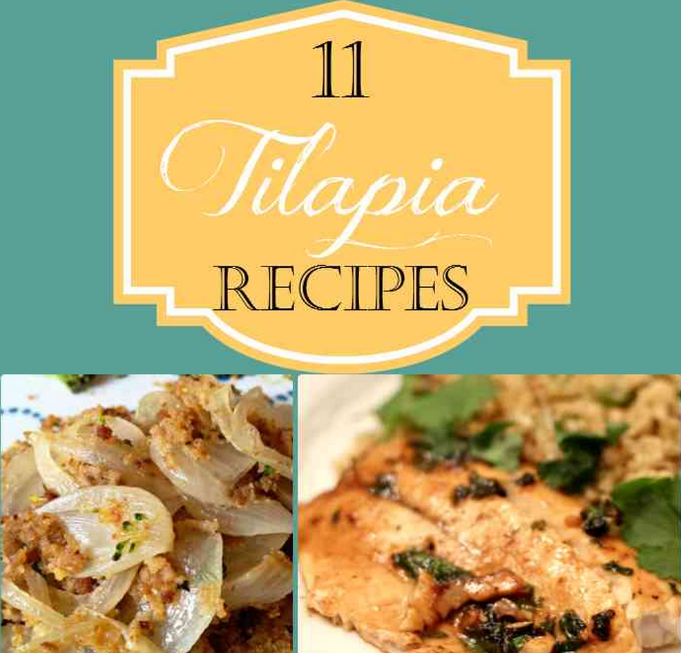 11 Delicious Tilapia Recipes - Food Fun & Faraway Places