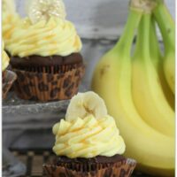 These Chunky Monkey Cupcakes were made in celebration of the new Disneynature film, Monkey Kingdom. Everyone loves Disney, and Just about everyone loves fruit, right? This cupcake recipe has both apples and bananas in it! It's a moist and delicious dessert, perfect for snacking on before or after seeing Monkey Kingdom.