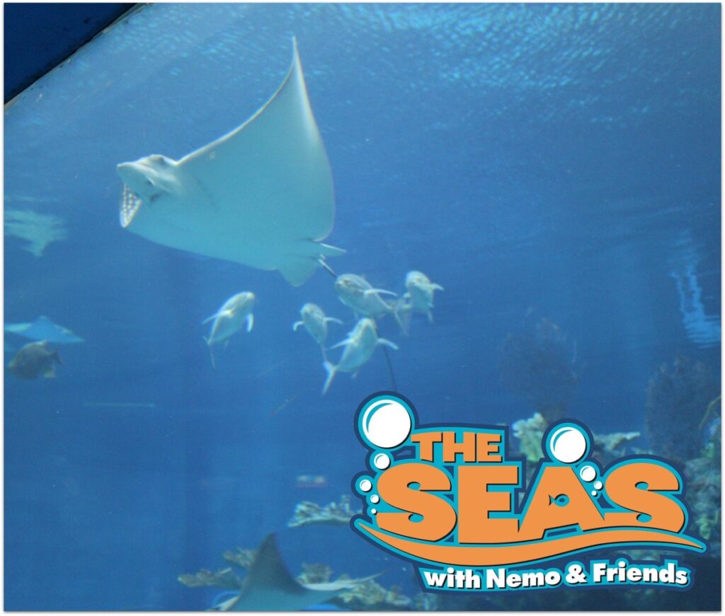 The Seas with Nemo and Friends is a fun an educational activity when you are visiting EPCOT. Visit in the heat of the day to relax and enjoy the marine animals and other fun adventures.