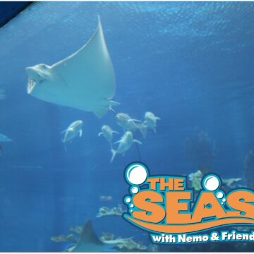 The Seas with Nemo and Friends is a fun an educational activity when you are visiting EPCOT. Visit in the heat of the day to relax and enjoy the marine animals and other fun adventures.