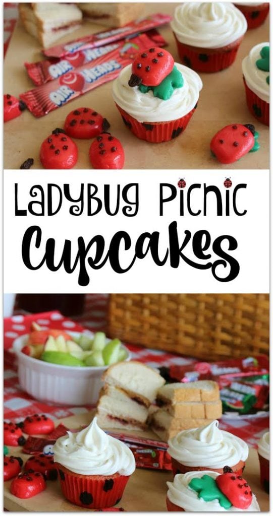 These Ladybug cupcakes are the perfect dessert for a Ladybug Picnic! This is such an easy recipe, and using Airheads for the decoration made this a DIY project anyone can do! You will never buy cupcakes again! And remember, picnics aren’t just for summer! Throw a blanket on the floor and grab some food for a snack! Kids crafts or printables will add to the fun on a rainy or snowy day.