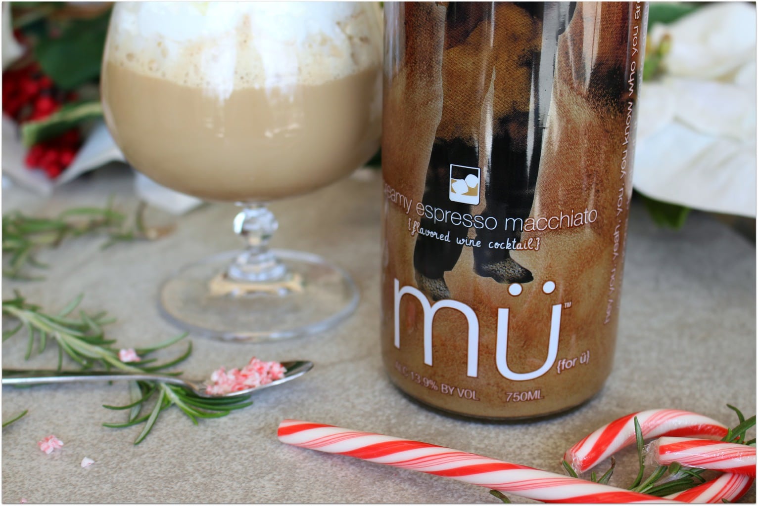Looking for an easy dessert recipe? You’ve found it! This Spiked Mocha Cappuccino is so delicious and such an easy recipe! A drizzle of chocolate gives it that mocha flavor, and the peppermint adds holiday cheer! 
