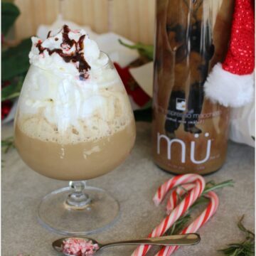 Looking for an easy dessert recipe? You’ve found it! This Spiked Mocha Cappuccino is so delicious and such an easy recipe! A drizzle of chocolate gives it that mocha flavor, and the peppermint adds holiday cheer!