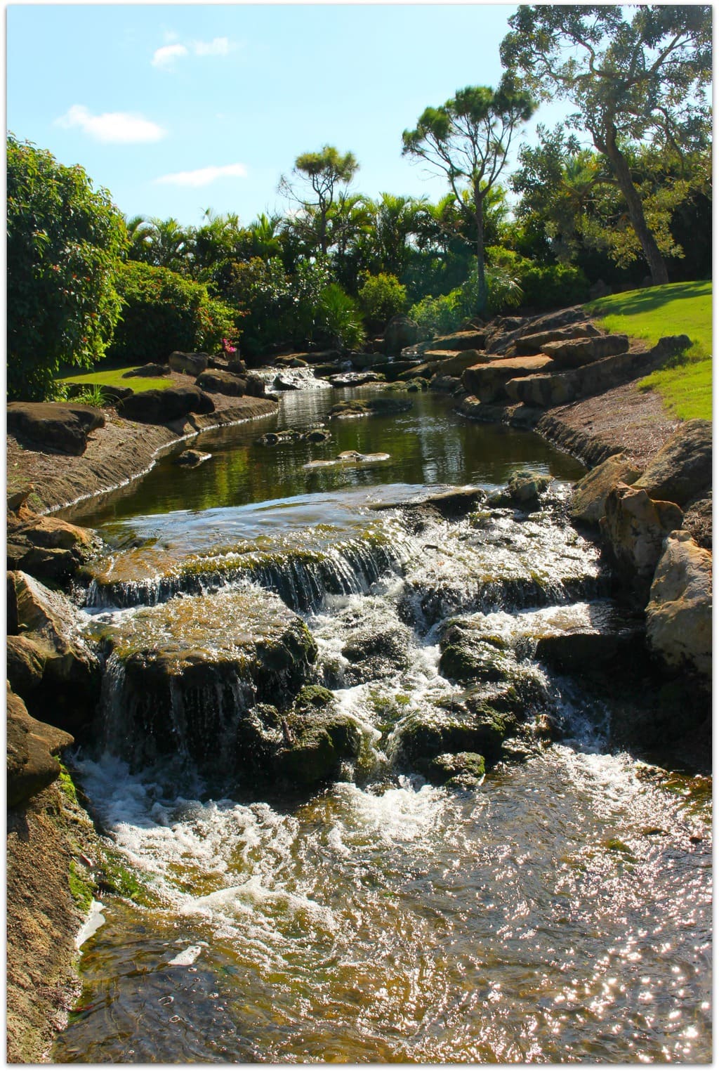 Just a couple of hours south of us on the Gulf of Mexico, Naples has everything you could want. Gorgeous beaches, amazing shopping, fantastic golf courses, and restaurants that make this foodie girl swoon.