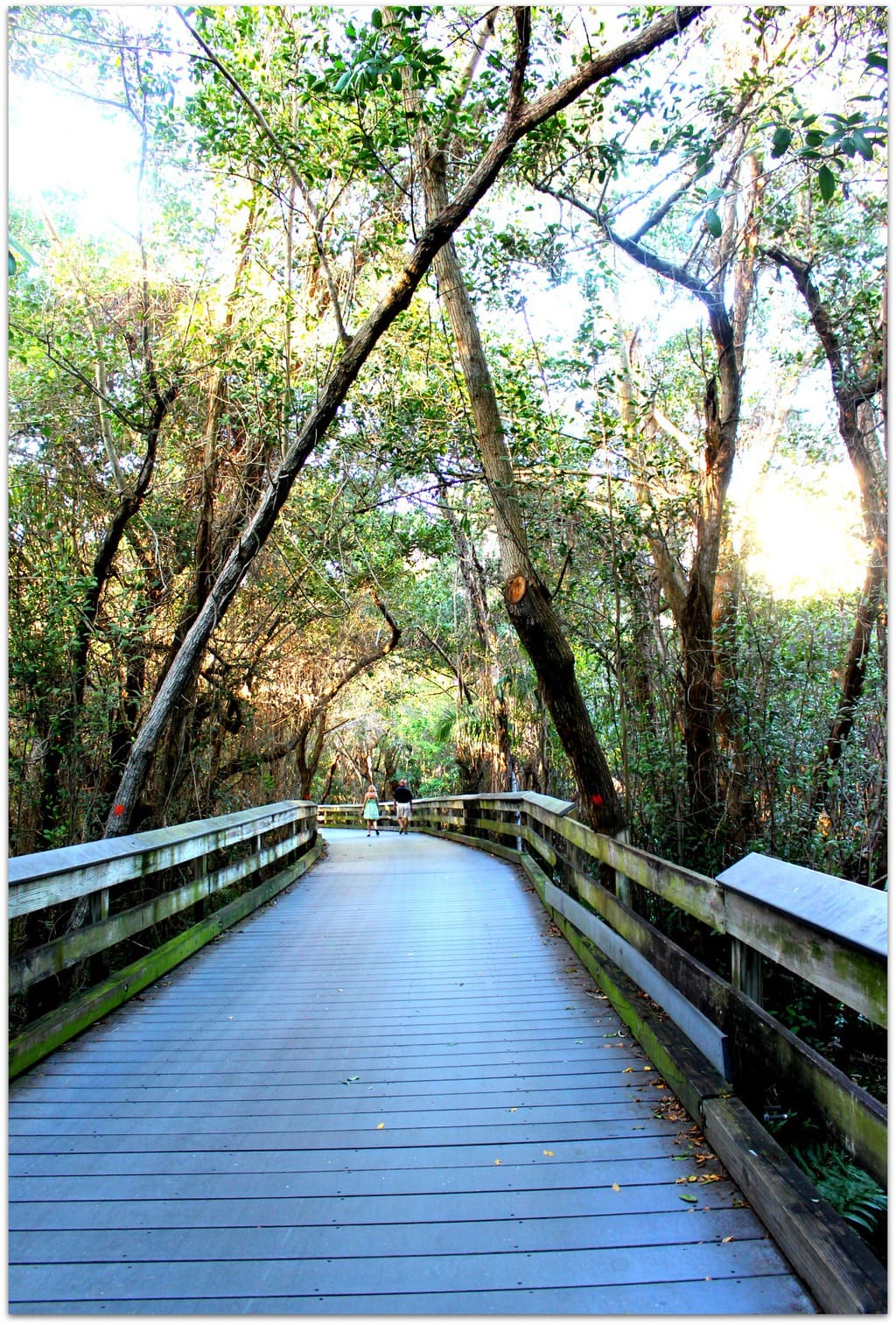 Just a couple of hours south of us on the Gulf of Mexico, Naples has everything you could want. Gorgeous beaches, amazing shopping, fantastic golf courses, and restaurants that make this foodie girl swoon.