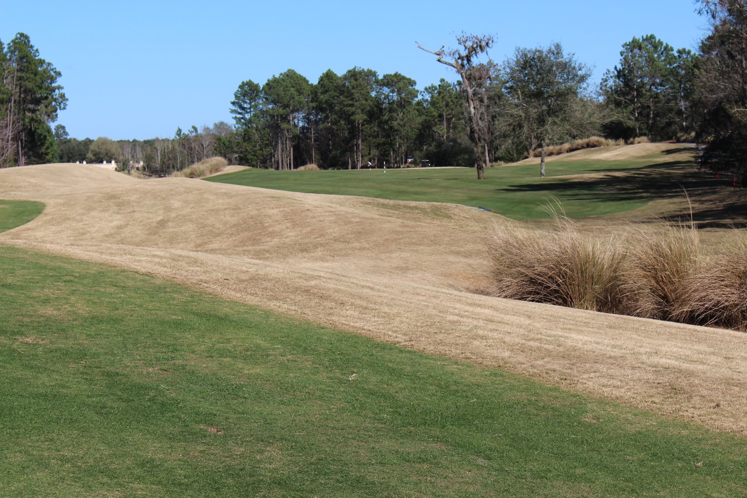 You'll find two Championship golf courses at World Golf Village; the Slammer & Squire and the King & Bear. In fact, the King & Bear is the only golf course in the world that was co-designed by Jack Nicklaus and Arnold Palmer.