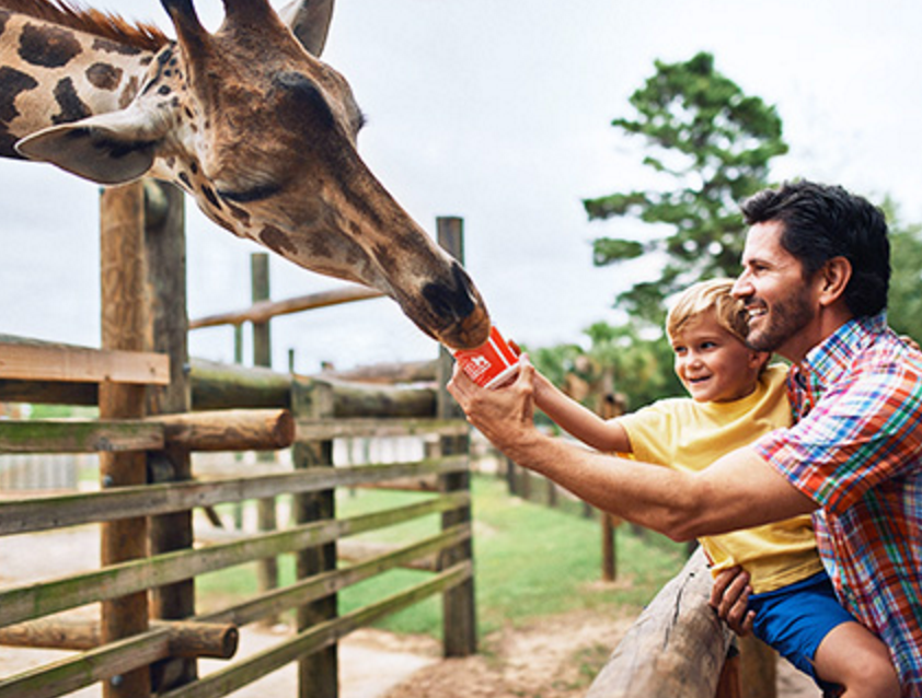 When you're looking for a family vacation destination in Florida, Santa Rosa County has got to be on your list.