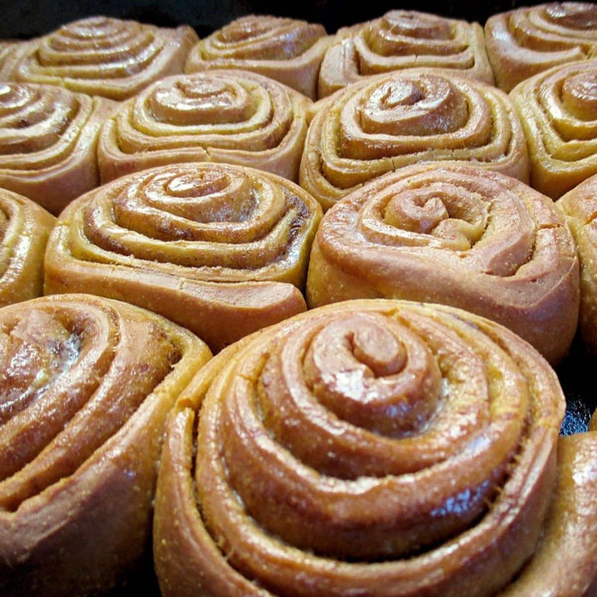 Large cinnamon rolls close together in a pan.