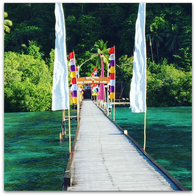 There’s nothing quite like Raja Ampat if you love beautiful beaches, turquoise water, white sand, and some of the friendliest people you will ever meet. What's not to love about that?