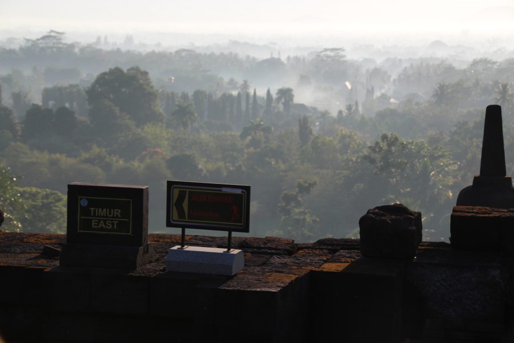 View of the jungle from a temple in Indonesia.