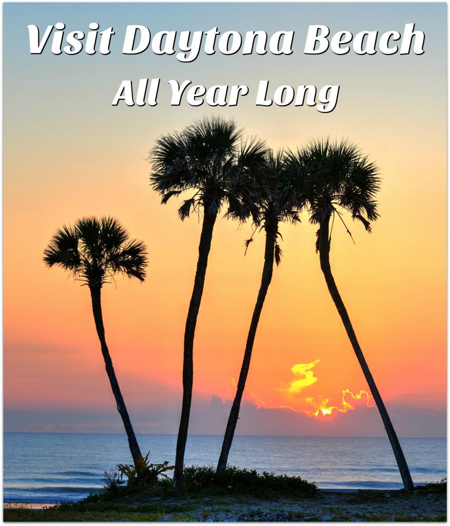 When you think of Daytona Beach, you might think of summer fun, like hitting the beach, building sandcastles, riding the waves. but Daytona Beach has so much more! 