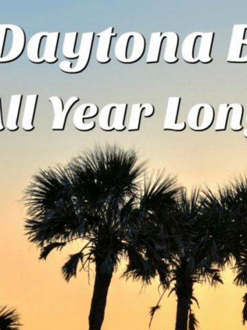 When you think of Daytona Beach, you might think of summer fun, like hitting the beach, building sandcastles, riding the waves. but Daytona Beach has so much more!