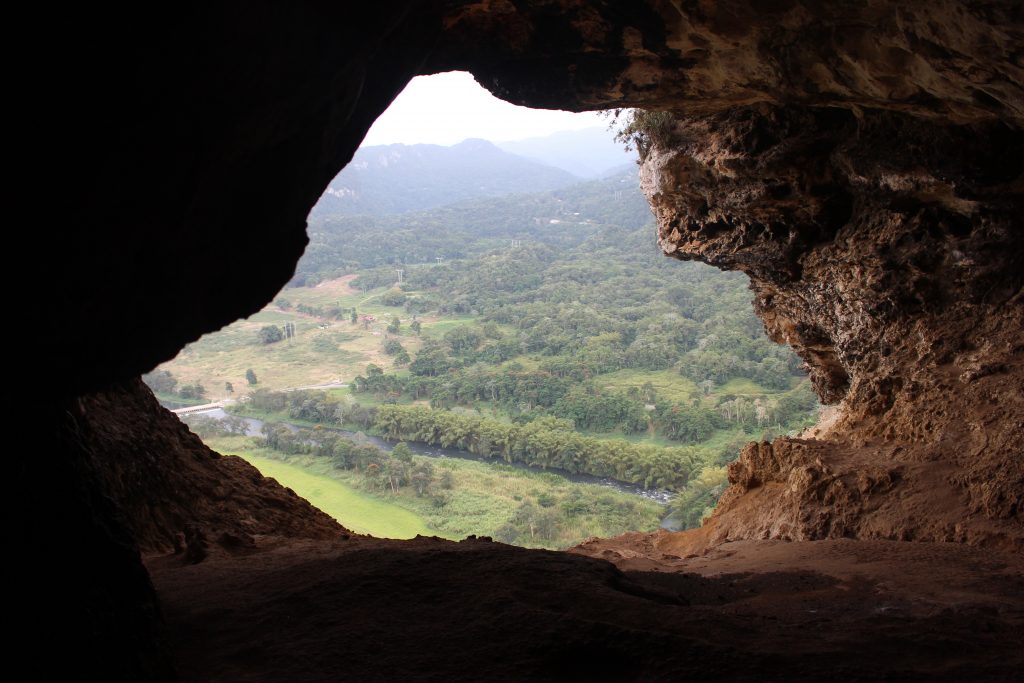 Cueva Ventana, The Window Cave, is a beautiful natural cavern found in the cliffs of Arecibo, Puerto Rico.