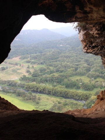 Cueva Ventana, The Window Cave, is a beautiful natural cavern found in the cliffs of Arecibo, Puerto Rico.