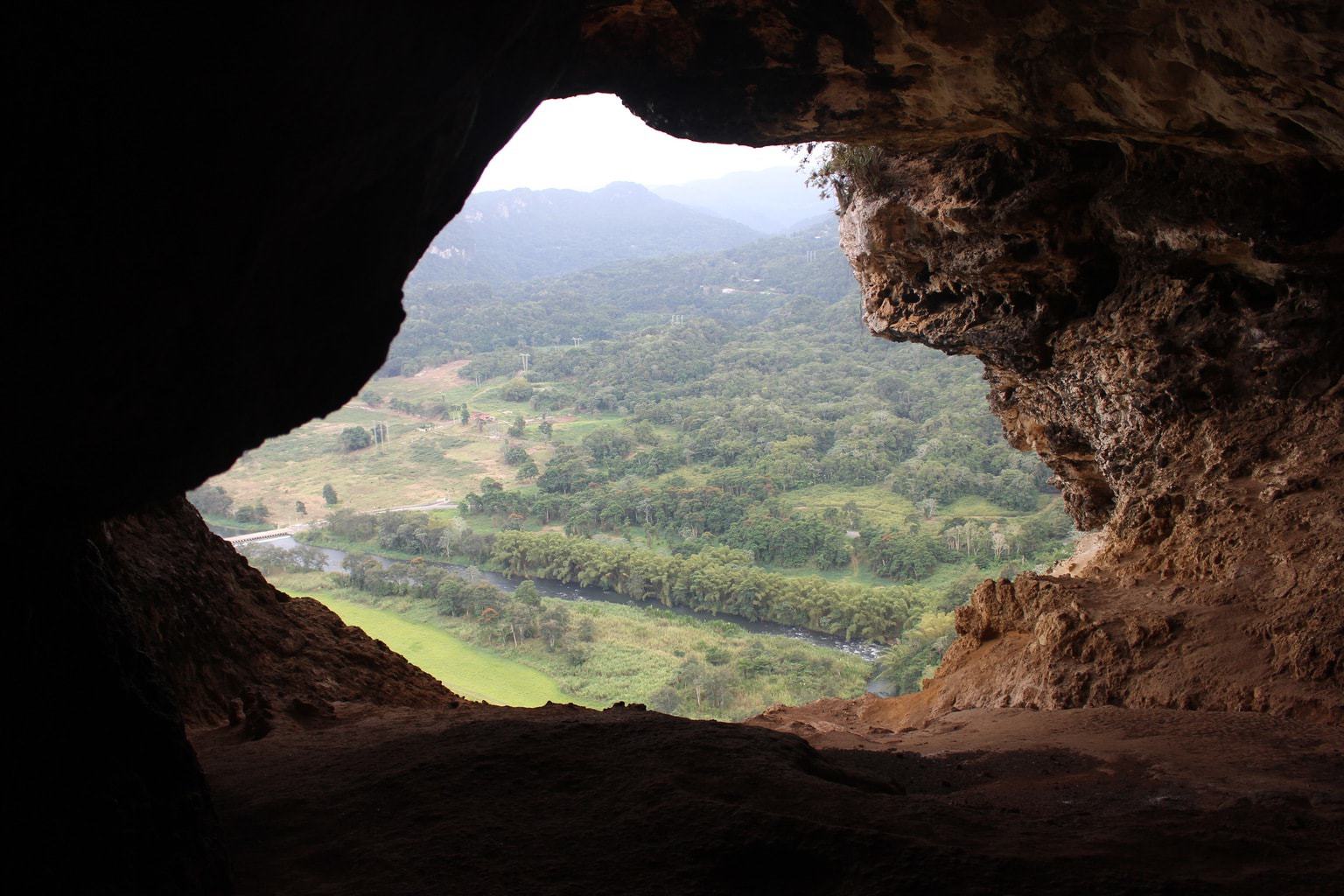 Cueva Ventana, The Window Cave, is a beautiful natural cavern found in the cliffs of Arecibo, Puerto Rico.