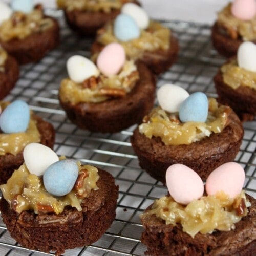 Bird Nest Brownies with German Chocolate frosting.