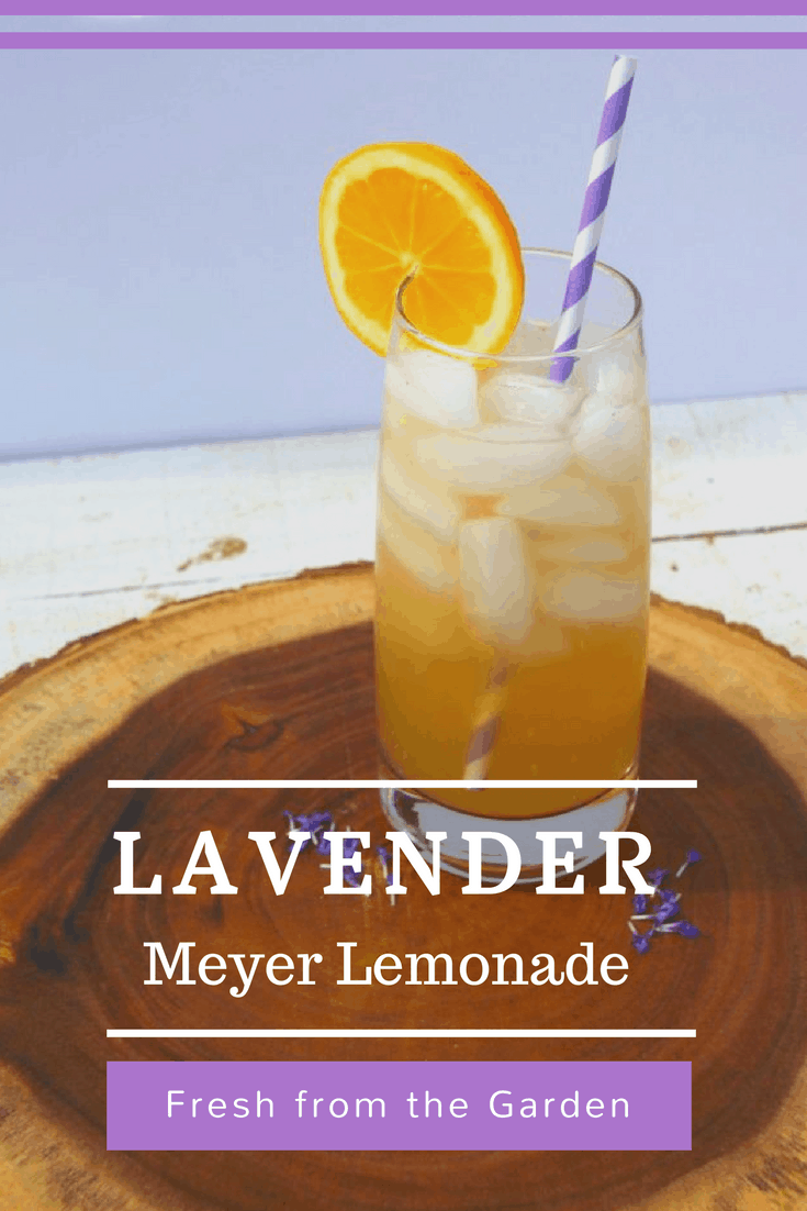 Head to the kitchen and make this DIY recipe for delicious lavender meyer lemonade fresh from your garden