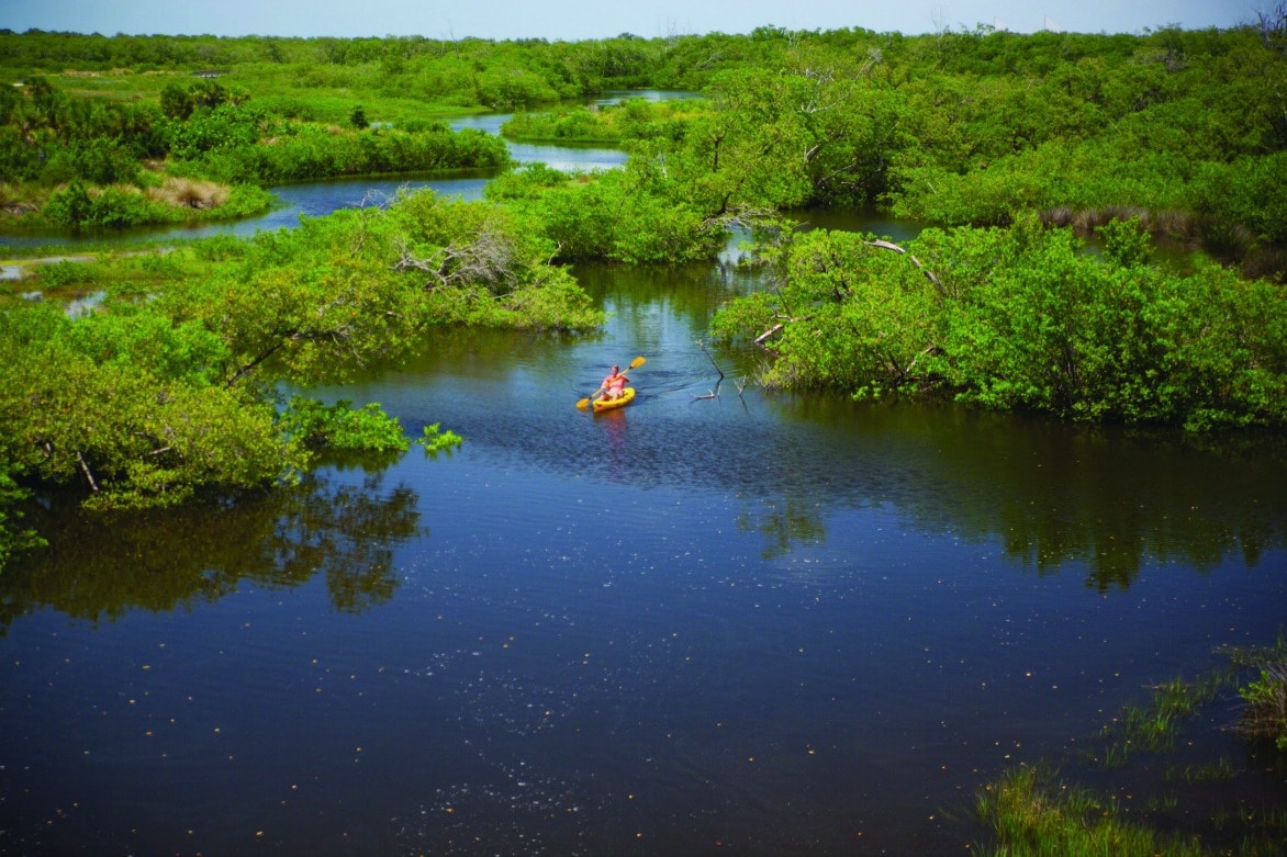 I love living in Bradenton Florida. We love the sun, the beach, warm weather (almost) all year long, and we just adore the nature. 