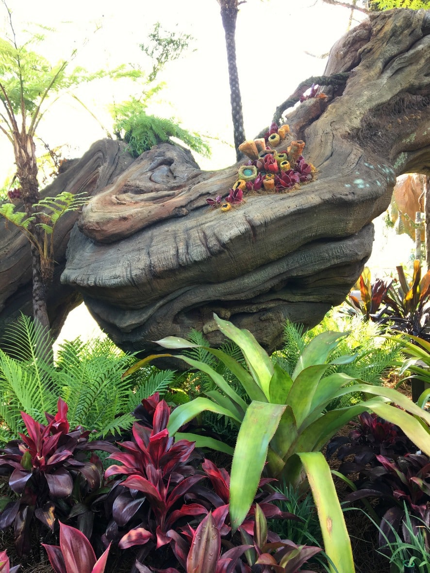 Step over the threshold from Animal Kingdom into Pandora The World of Avatar, and you truly are transported to another land, one of floating mountains, bioluminescent rainforests, and gorgeous waterfalls. 