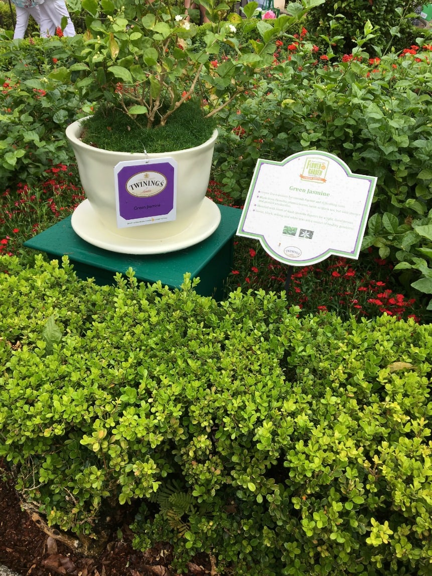 The Twinings Royal Tea Tour at Epcot is a must if you love tea!