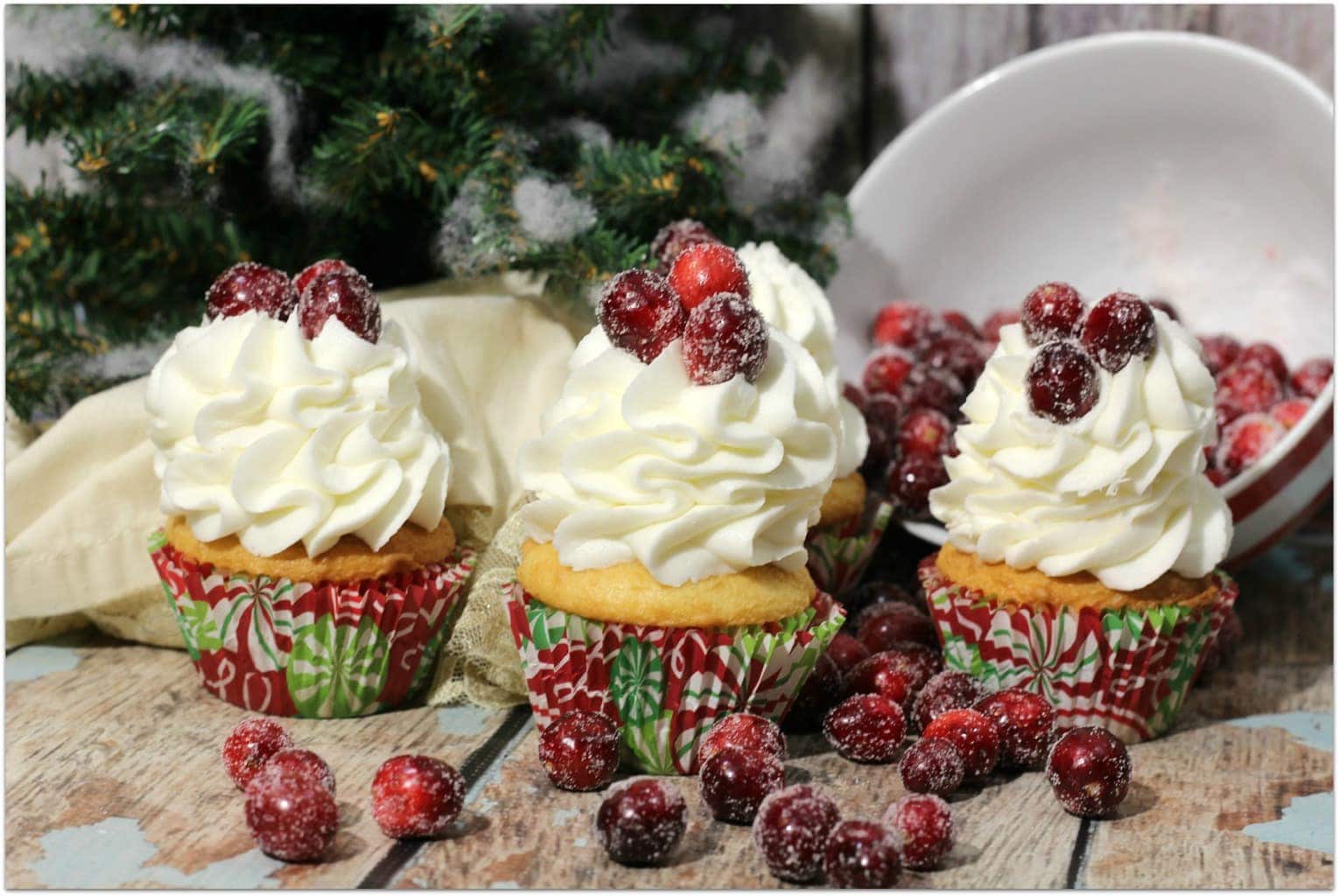 cranberry cupcakes