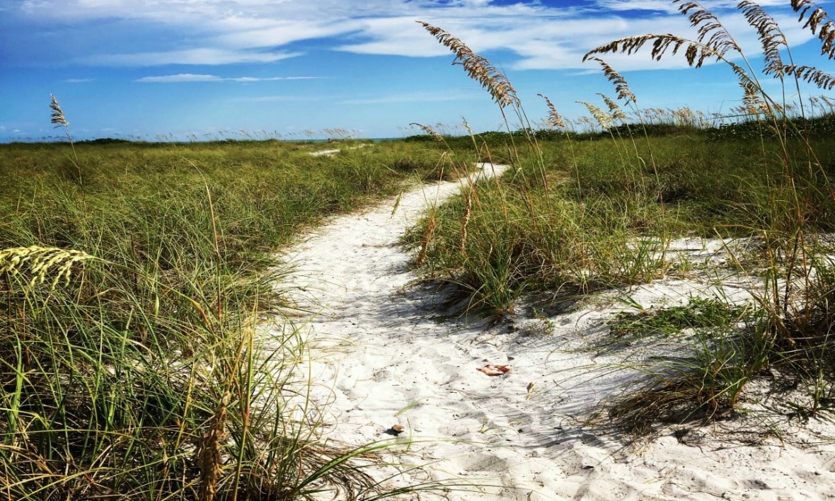 Sarasota beach path to the ocean.