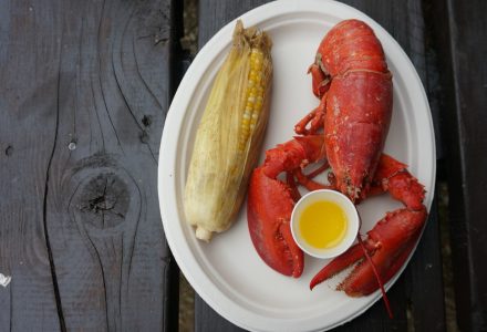 Lobster Bake at Warren Island State Park